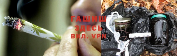 дживик Арсеньев