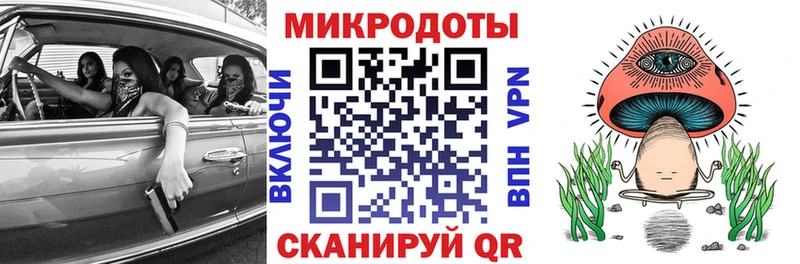 Псилоцибиновые грибы Cubensis Любань